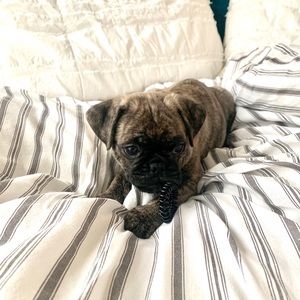 Meet your Posher, Jill